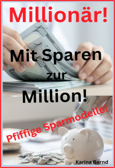 Millionär! Mit Sparen zur Million! Ratgeber | eBook